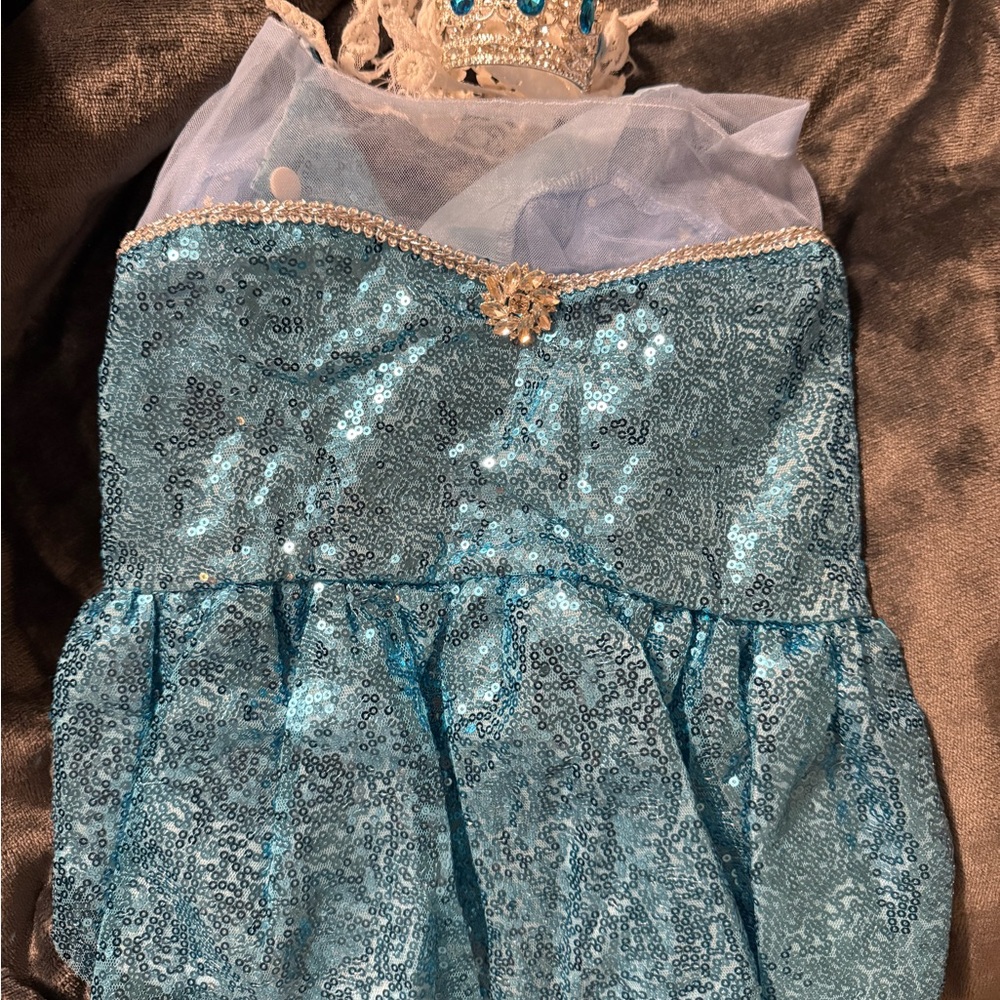 Sequin Blue Dog Dress with Crown